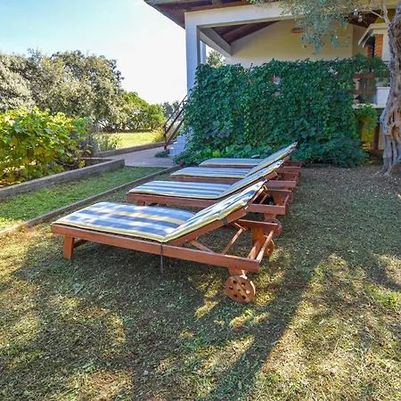 House Cvit דוברופוליינה