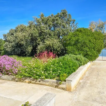 House Cvit Dobropoljana