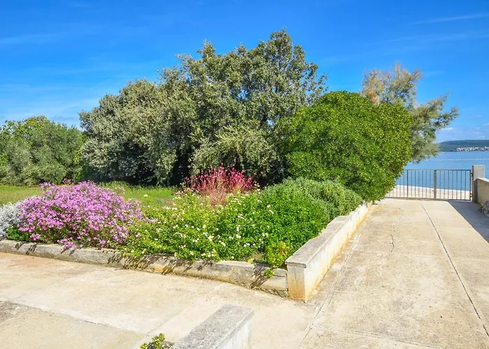 House Cvit Dobropoljana