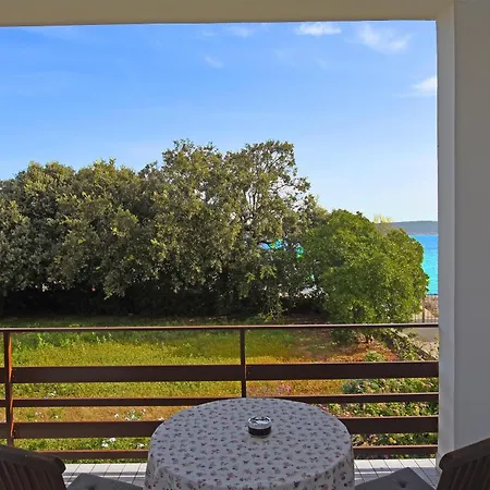 House Cvit 度假居 Dobropoljana